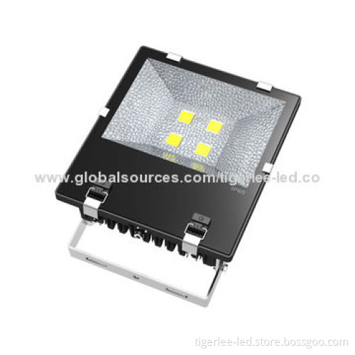 LED floodlight with Epistar COB chip, CE, RoHS approvals